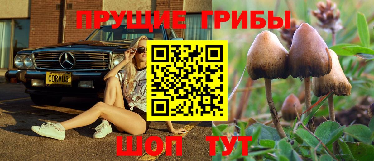 Лабинск  даркнет сайт  Вход с VPN  Галлюциногенные грибы Psilocybine cubensis 